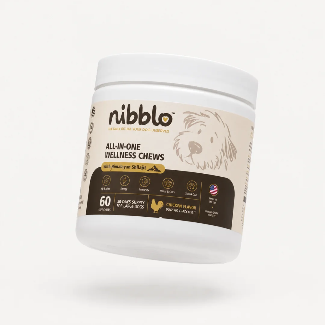 Nibblo 60 soft chews jar