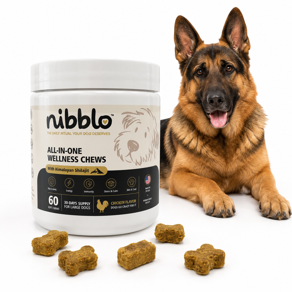 Nibblo All-in-One Wellness Chews for Dogs with Himalayan Shilajit | Hip & Joint, Skin & Coat, Immunity & Daily Wellness Support | Chicken Flavor | 60 Soft Chews