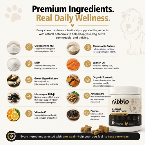 Nibblo All-in-One Wellness Chews for Dogs with Himalayan Shilajit | Hip & Joint, Skin & Coat, Immunity & Daily Wellness Support | Chicken Flavor | 60 Soft Chews