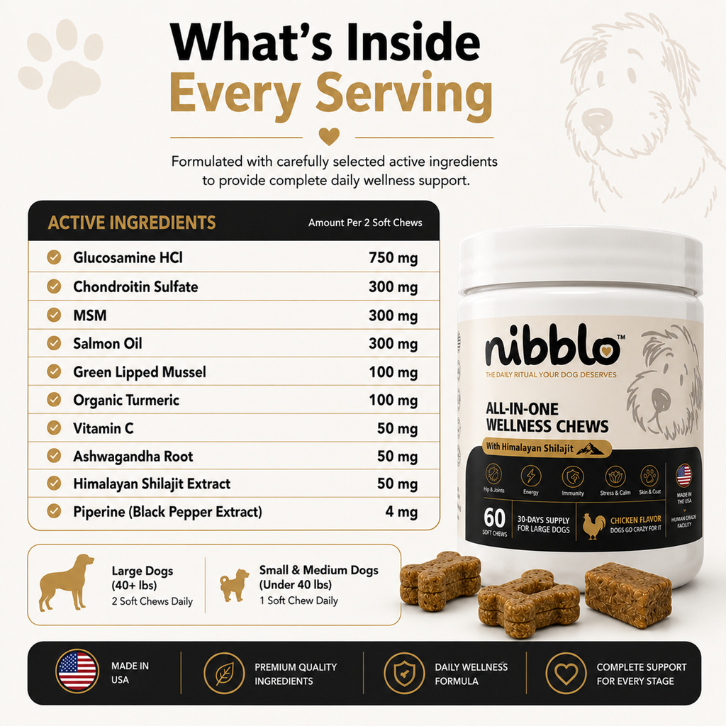 Nibblo All-in-One Wellness Chews for Dogs with Himalayan Shilajit | Hip & Joint, Skin & Coat, Immunity & Daily Wellness Support | Chicken Flavor | 60 Soft Chews